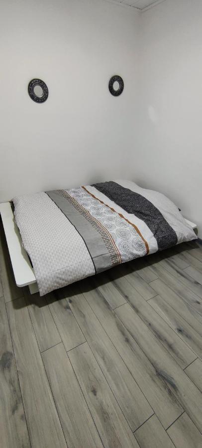 Appartement En Centre Ville Thonon-les-Bains Extérieur photo